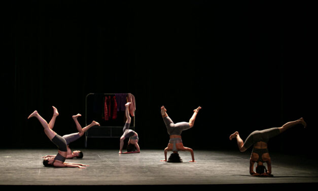 Indumentis Teatro Raúl Flores Canelo